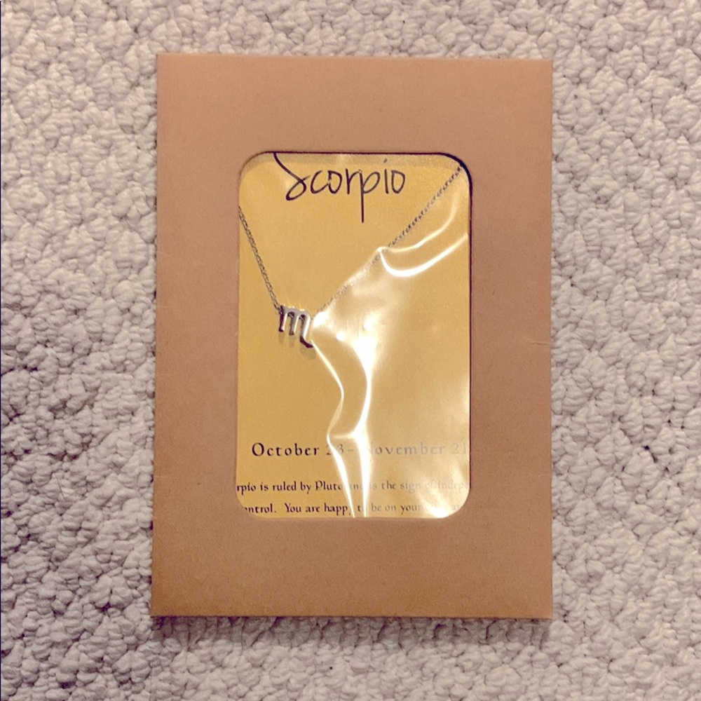 Scorpio Silver Necklace
